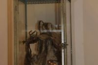 Ausstellung 2017 - Bild 22.jpg