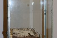 Ausstellung 2019 - Bild 04.jpg